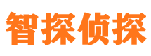 彭山外遇出轨调查取证